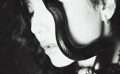 丞相坐着龙椅皇上在一旁站着